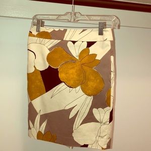 🎉Host pick! 🎉Ann Taylor pencil skirt